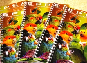 Book EPPSA (2)