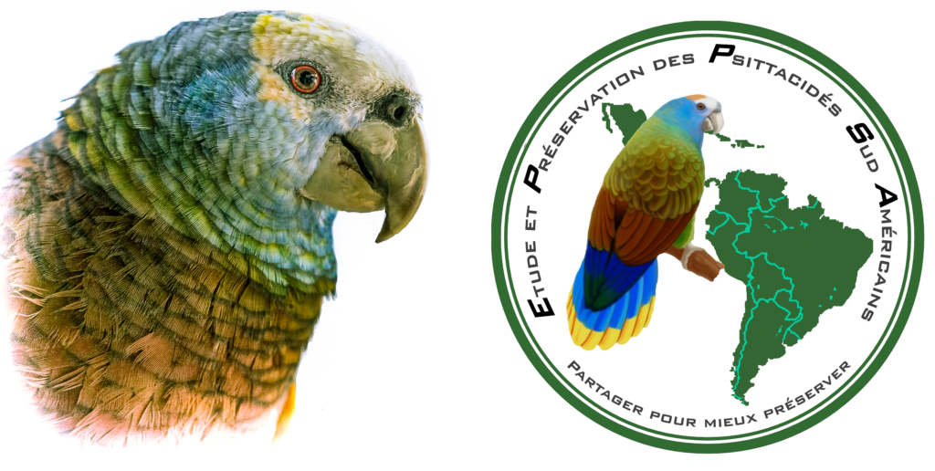 EPPSA préservation psitacidés sud américain